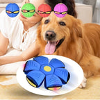 Juguetes para perros Platillo volador Bola UFO Deportes interactivos al aire libre