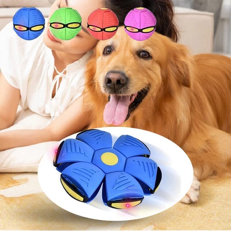 Juguetes para perros Platillo volador Bola UFO Deportes interactivos al aire libre